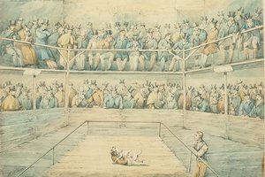 Dog Fight at the Westminster Pitt by Henry Thomas Alken