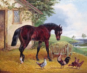 Farmyard Scene