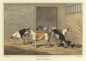 Fox Hounds by Henry Thomas Alken