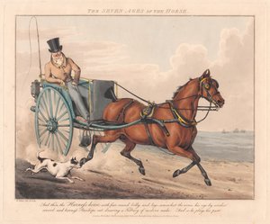 Set of Seven: The Seven Ages of the Horse by Henry Thomas Alken