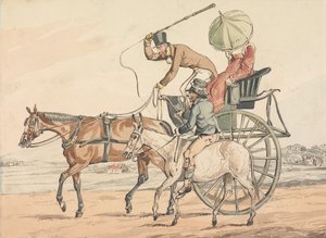 Sporting Discoveries, or the Miseries of Driving: You Discover You Have Obtained a Steady One by Henry Thomas Alken