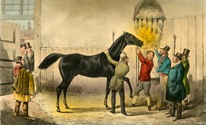 The Baron Vills His Wet, 1838 by Henry Thomas Alken