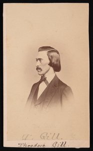 Portrait of Theodore Nicholas Gill by Henry Ulke