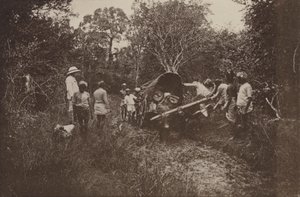 Ruined Cities of Ceylon: En Route for Polonnaruwa by Henry W. Cave