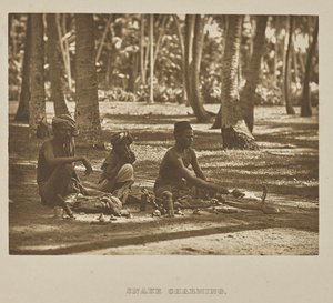 Snake Charming by Henry W. Cave