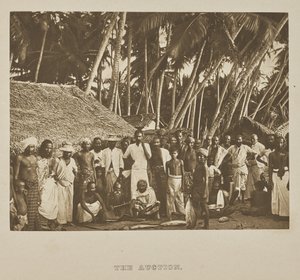 The Auction