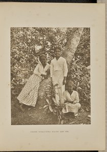 Three Moratowa Maids Are We by Henry W. Cave