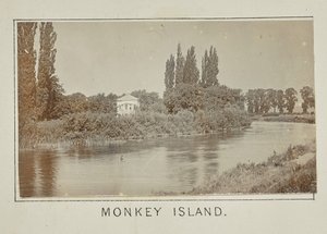 Monkey Island