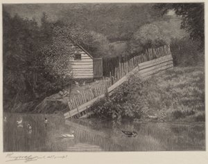 A Duck Pond