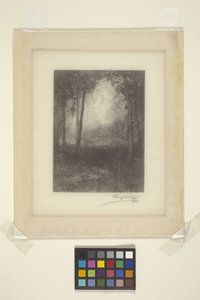 In The Adirondacks by Henry Wolf
