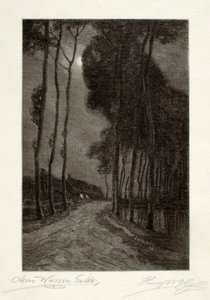 Moonlight in Holland by Henry Wolf