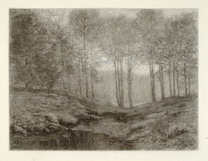 Summer Morning