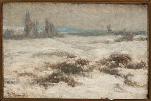 Winter Landscape