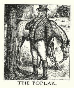 Ingoldsby Legends: The Poplar