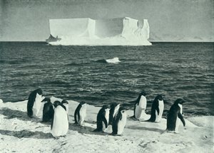 A Berg Drifting in McMurdo Sound