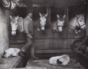 Captain Oates by Herbert Ponting