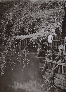Cherry-Blossom Time in Japan by Herbert Ponting