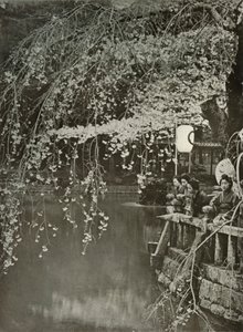 Cherry-Blossom Time in Japan, 1910 by Herbert Ponting