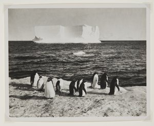 Drifting Iceberg off Cape Royds