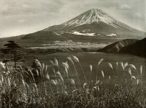 Fuji and the Kaia Grass