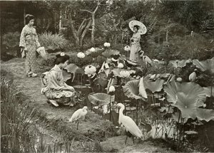 In Lotus-Land, 1910 by Herbert Ponting