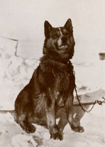 Krisravitsa by Herbert Ponting