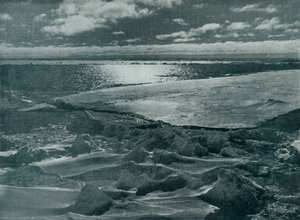 Moonlight in the Pack, c1910-1913 by Herbert Ponting