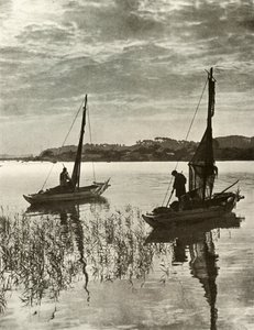 On Tokyo Bay