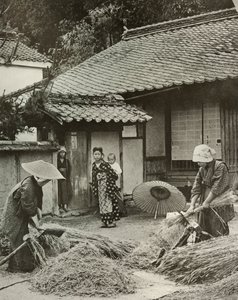 Peasant Women Heading Barley, 1910 by Herbert Ponting