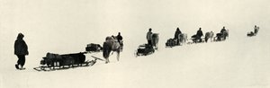 Ponies on the March, 1911-1913