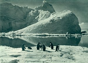 Summer Time - The Ice Opening Up