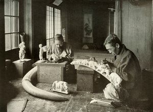 The Ivory Carvers by Herbert Ponting