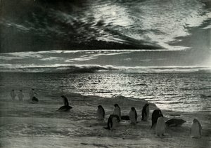 The Midnight Sun in McMurdo Sound