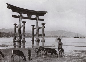 The Old Torii at Miyajima