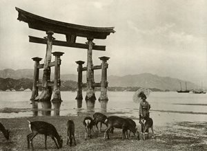 The Old Torii at Miyajima