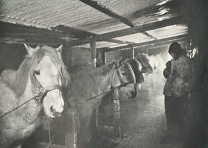 The Stables in Winter by Herbert Ponting