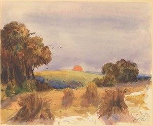 A Cornfield at Sunset