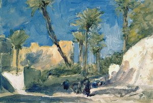 The Date Palms at Elche, Spain