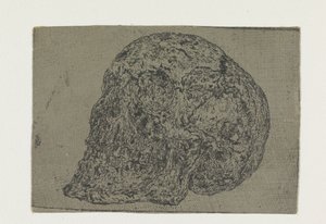 A Skull by Hercules Segers