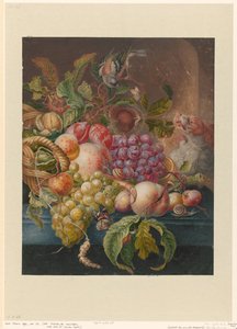 Fruit Still Life