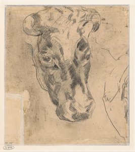 Head of a Cow with Horns