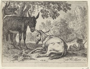 Donkeys (Landscapes with Animals series) by Herman van Swanevelt
