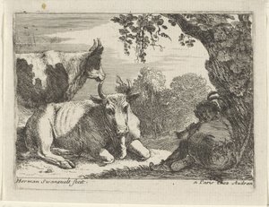 Cows