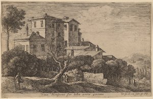 View of the Vineyard of the Villa Mamsrona