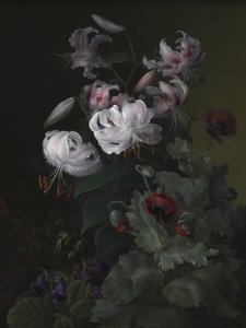 Flowering Plants by Hermania Sigvardine Neergaard