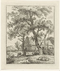 Farm and Shepherd
