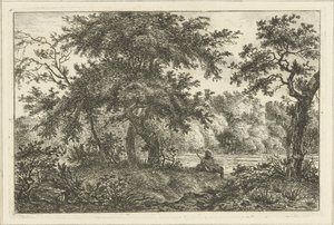 Resting Man in Forest
