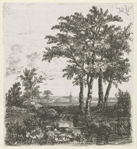 Four Trees by a Ditch