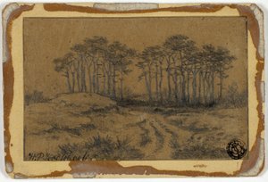 Path Through Trees