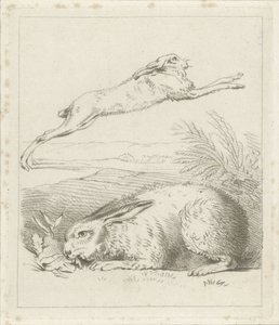 Hare and Rabbit